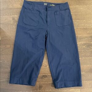 Maeve Navy Wide Leg Pants